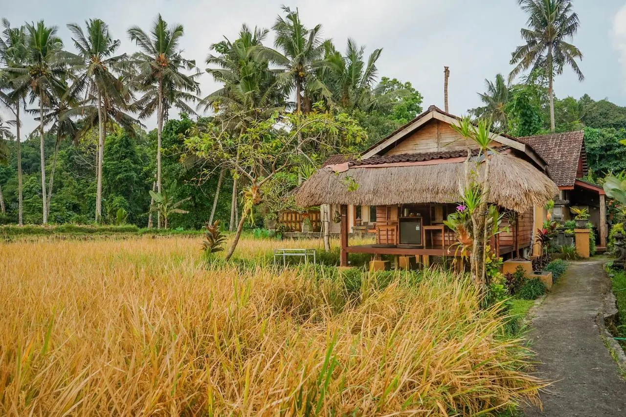 Villa Jj And Spa Ubud Indonesia