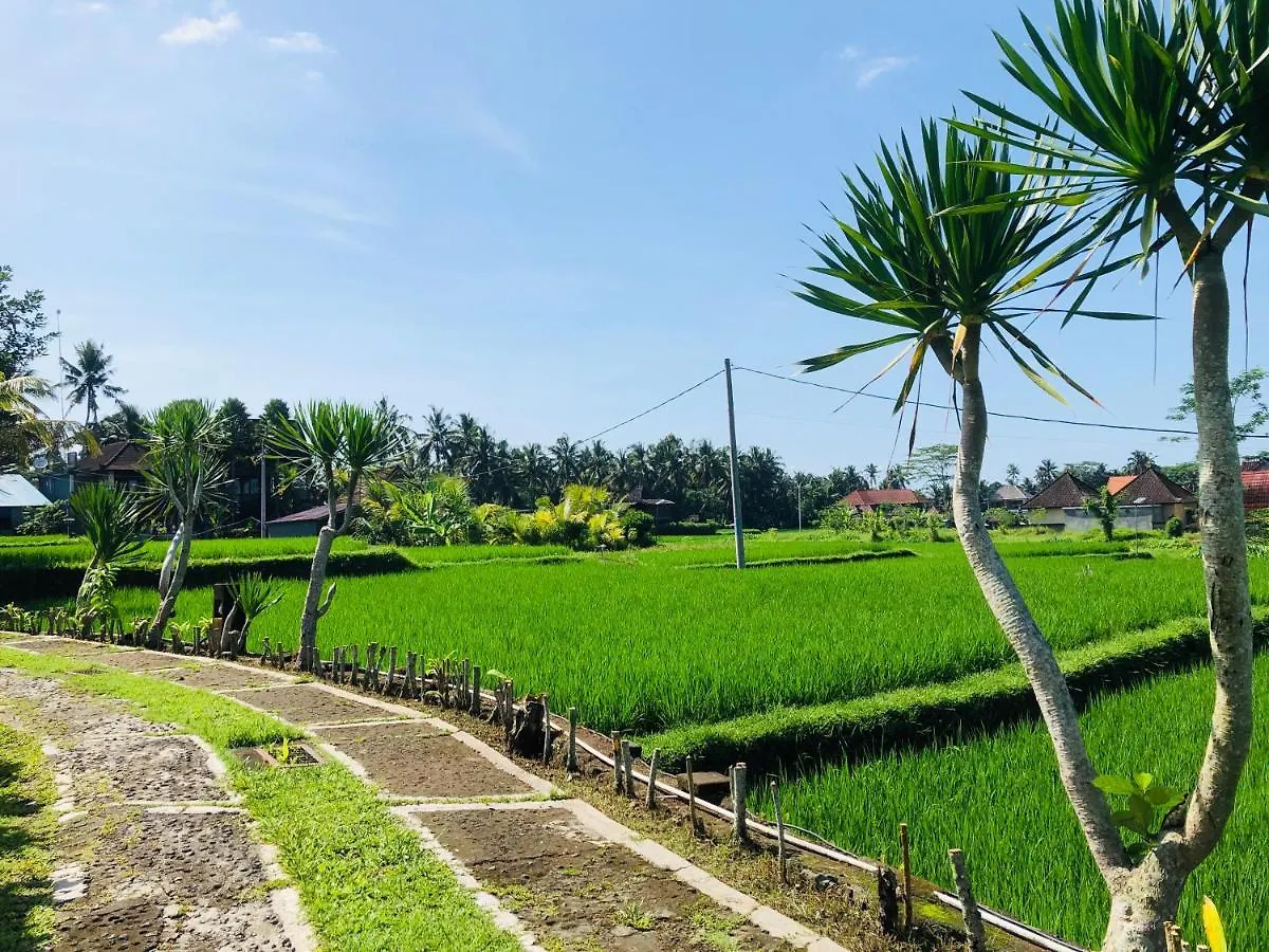 Villa Jj And Spa Ubud 0*, Ubud (Bali) Indonesia