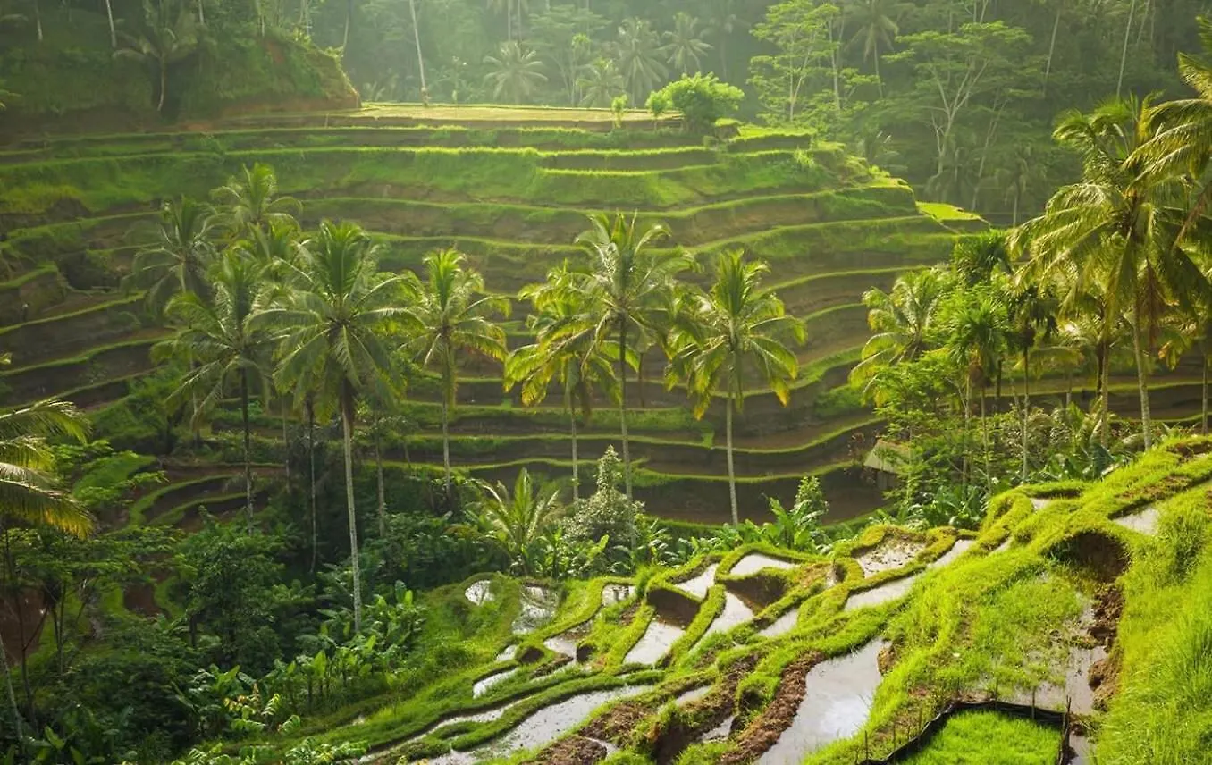 Villa Jj And Spa Ubud  Ubud (Bali)